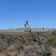 Baja2011 142 : Baja2011